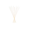 Dr Vranjes Reeds